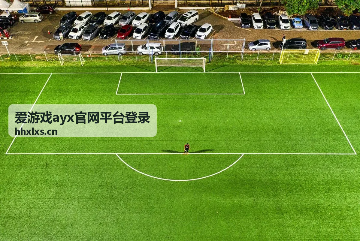 爱游戏ayx官网平台登录流程说明的步骤回顾配图
